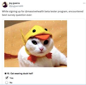Picture shows a cat wearing a duck hat with a question below Cat wearing a duck hat? Yes or no. Joy describes it as the best survey question ever.