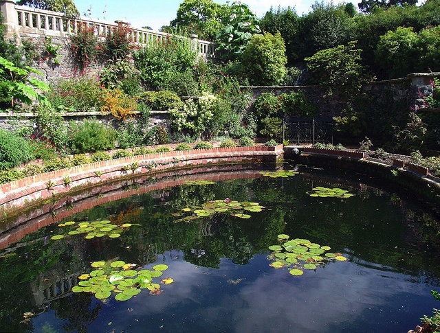 a pond surrounded by flower beds