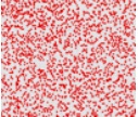a square with red dots scattered quite intensively across it