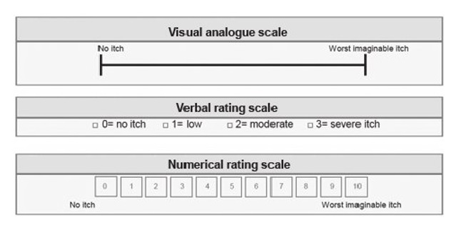 visual analogue scale, verbal rating scale and a ten point numerical rating scale 