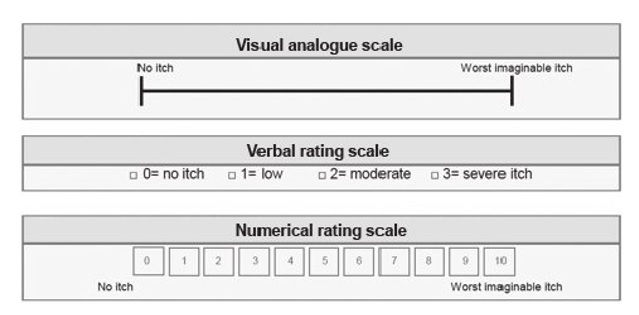 visual analogue scale, verbal rating scale and a ten point numerical rating scale