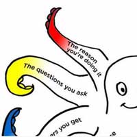 Part of the Survey Octopus