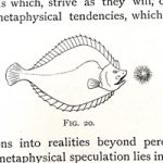 It is OK to stop reading a book (Book review: The Grammar of Science by Karl Pearson)