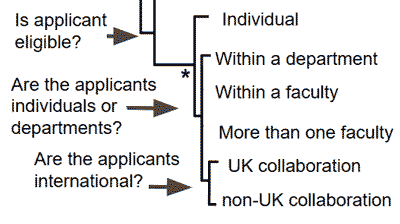 A section of a phylogenetic tree adapted to a complex grant application. The pivot questions in this section are "Is applicant eligible", "Are the applicants international?" leading to different sets of questions