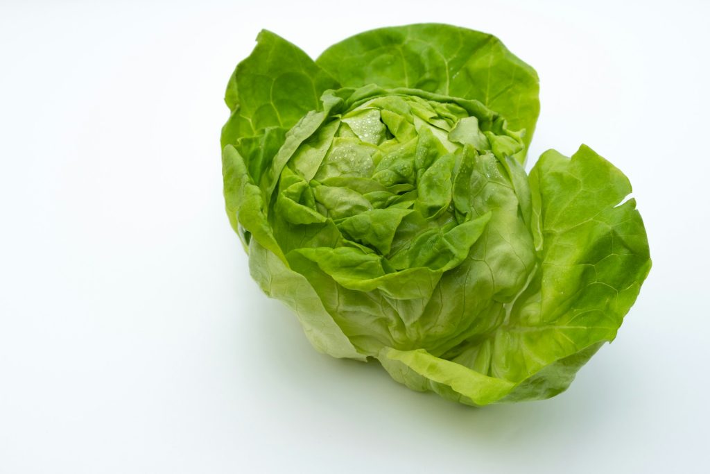A lettuce
